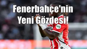 Fenerbahçe Kendi Yıldızını Buldu: 20 Milyon Euro'ya Kadroya Katacak! - Borsametre